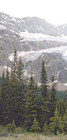 Photo of a forest and snow-covered mountain