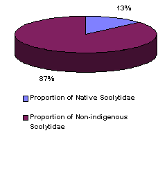 Chart showing proportion of native scolytidae at 87 percent and proportion of non-indigenous scolytidae at 13 percent