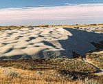 Active sand dunes. Great Sand Hills, southwestern Saskatchewan.