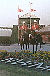Two RCMP officers on horses