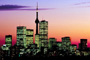 CN Tower, Toronto skyline at night