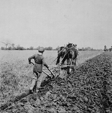 A boy ploughing at Dr. Barnardos Industrial Farm, Russell, Manitoba, ca. 1900. Library and Archives Canada, PA-117285