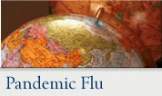 Pandemic Flu