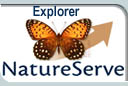 NatureServe Explorer