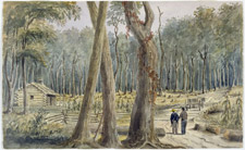 Photo d'une ferme buissonneuse prs de Chatham, en Ontario, vers 1838