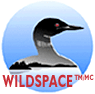 Wildspace Project