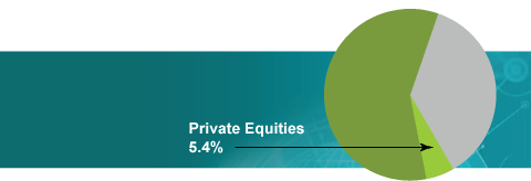 Asset Mix - Private Equities