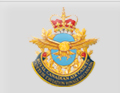 Air Cadet Emblem