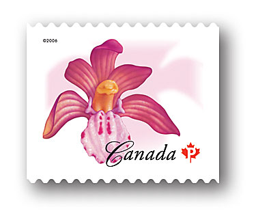 To Canadian Wildflower Definitive