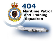 404 Squadron