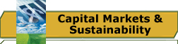 Capital Markets and Sustainability