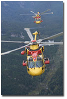 CH-149 Cormorant Helicopters