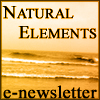 Natural Elements, Issue 10, November 2006: Celebrating the holidays, naturally!