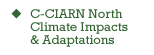 C-CIARN North - Climate Impacts and Adaptations