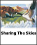 Sharing The Sky