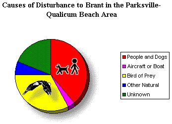 Graph of causes of Brant disturbance