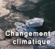 Changement climatique: impacts et adaptation