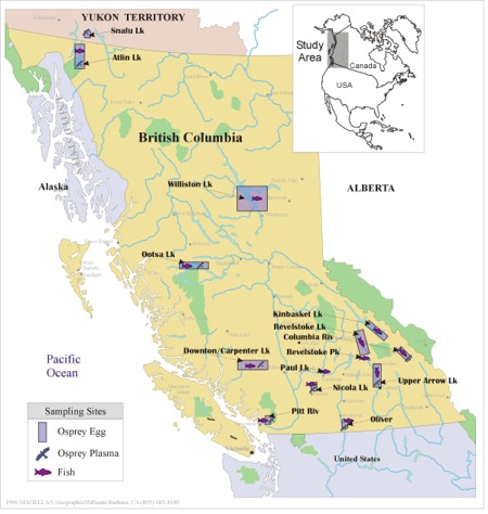 Map of BC and the Yukon with locations of fish and osprey samples collected.