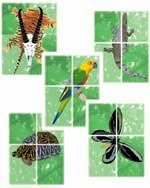 Image: Page couverture des Guides d'Identification CITES