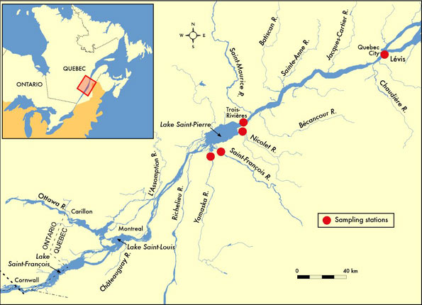 Map: Location of the sampling stations