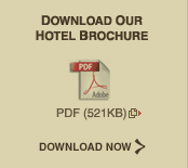 Download Our Hotel Brochure