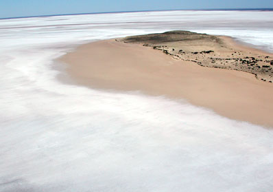 Salt crust resulting from receding lake, Lake Frome, Australia.