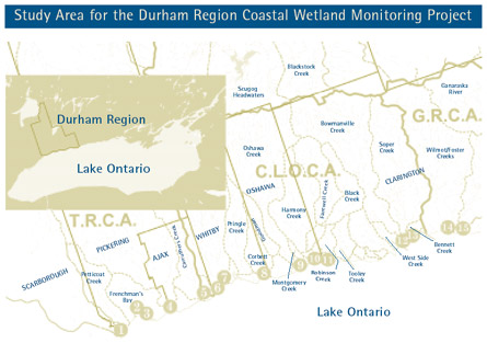 Map: Study Area for the Durham Region Coastal Wetland Monitoring Project