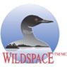 WILDSPACE TM/MC