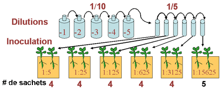 Ce diagramme montre des dilutions pour la dtermination du nombre le plus probable - Dilution 1/10 & 1/5, Inoculation, Nombre de sachets