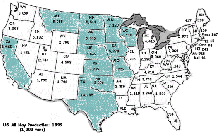 US All hay production :1999
