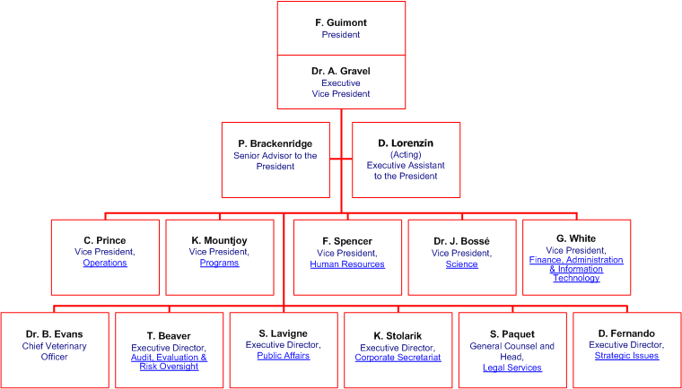 Senior Management Structure 
