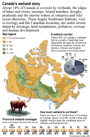 Illustration - Les milieux humides au Canada (428 Ko)