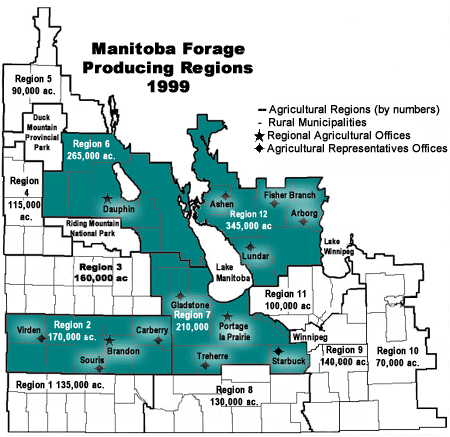 Manitoba Forage Producing Regions 1999