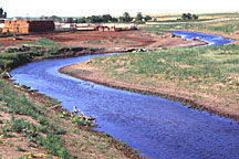 riparian area with vegetation removed