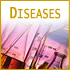 Articles on Diseases - Prevention and Information