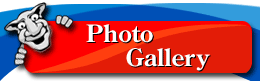 Photo Gallery Title