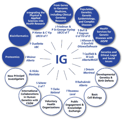 Figure 1: Priority and Planning Committees and Working Group of the IG