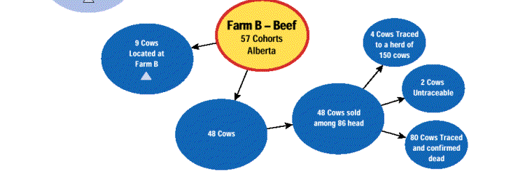 Image 3 - Farm B / Cohorts