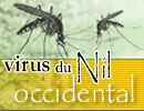 Virus du Nil occidental