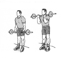Standing biceps curl with barbell