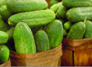 Cucumbers at the local market