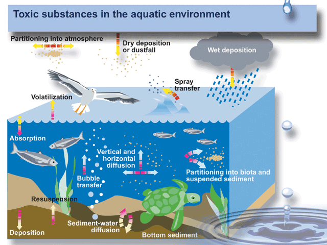 Toxic substances in the aquatic environment