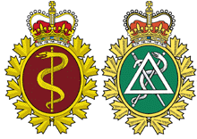 Medical branch badge, left, and Dental branch badge.