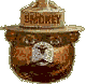 Picture of Smokey Bear _____owpsidD638002A-5A57-459C-A3B066C342666407