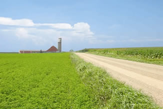 Photo of road leading to farm.