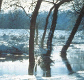Image showing winter flood