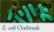 E.coli Outbreak
