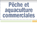 Pche et aquaculture commerciales