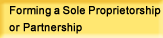 Forming a Sole Proprietorship or Partnership