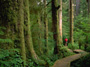 Carmanah Provincial Park, Vancouver Island